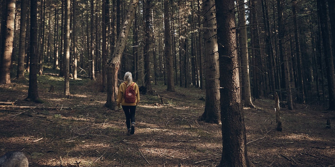 The founder's journey